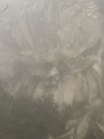 Margarita de la Piedra