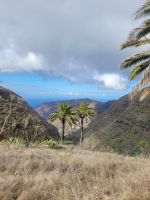 Barranco bei El Cercado/La Gomera/Kanaren
