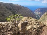 Barranco bei El Cercado/La Gomera/Kanaren