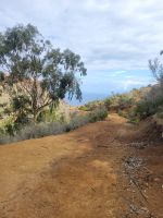Wanderung von Rosas zum Mirador de Abrante/La Gomera/Kanaren