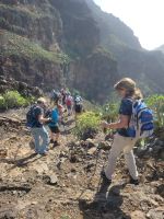 Barranco de Guarimiar/La Gomera/Kanaren