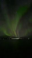 Hurtigruten-Kreuzfahrt // Nordlichter
