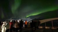 Hurtigruten-Kreuzfahrt // Nordlichter