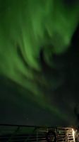 Hurtigruten-Kreuzfahrt // Nordlichter