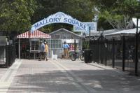 Ausflug nach Key West