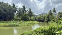 Botanischer Garten, Raiatea 
