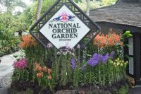 Botanischer Garten Singapur