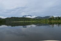 Regenwald wohin man schaut