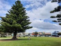 mittags in Apollo Beach