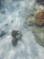 mein einziges Unterwasserbild beim Schnorcheln