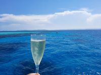 auf der Rückfahrt nach Cairns gibt es Sekt