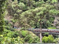 impossante Zugfahrt nach Cairns
