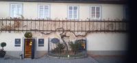 Maribor Älteste Weinstock