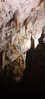 Höhle von Postojna