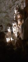 Höhle von Postojna