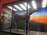 Stockholm. Tunnelbana - Metro Station Solna Centrum