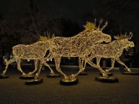 Stockholm. Lichtskulpturen