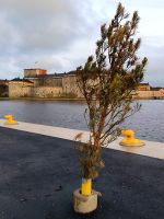 Früher war mehr Lametta!