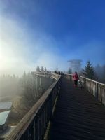 Wald Wipfel Weg St. Englmar