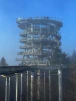 Wald Wipfel Weg St. Englmar