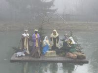 Wald Wipfel Weg St. Englmar 