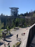 Wald Wipfel Weg ... bei Sonne von unserer Dienstreise
