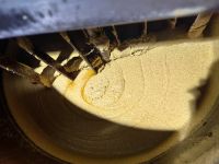 Lecker, lecker, der Senf in Monschau