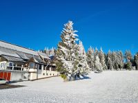 auf dem Weg nach St. Peter...