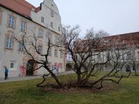 Kloster Benediktbeuern