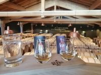 Die Whisky-Verkostung