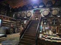 Bodega Alvaro in Tacoronte, Teneriffa