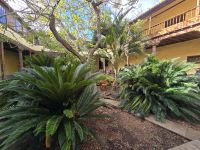 Innenhof La Laguna,  Teneriffa 