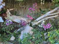 Orchideengarten Sitio Litre, Teneriffa