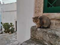 Spaziergang durch Ostuni 