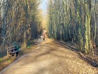 Silvester_2025_Binz: Weg Vitt - Kap Arkona