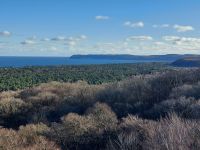 Silvester_2025_Binz: Baumwipfelpfad - Blick nach Binz