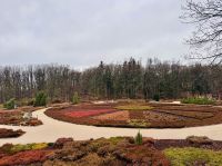 4. Tag - Heidegarten Schneverdingen