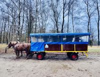 4. Tag - Kutschfahrt durch die Lüneburger Heide