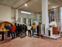 Besuch Weinkellerei 