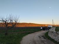 Spaziergang zum Weingarten 