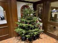 1. Tag: Fahrt nach Alpirsbach im Schwarzwald – Weihnachtsbaum im Hotel Rössle