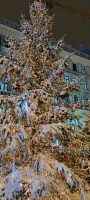Mit Schnee glänzt der Weihnachtsbaum noch einmal mehr.