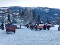 Weihn_Salzbg.: Filzmoos - Vorbereitung auf Kutschfahrt