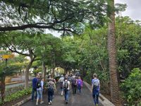 Stadtpark in Santa Cruz del Teneriffa, Teneriffa