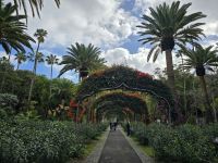Stadtpark in Santa Cruz del Teneriffa, Teneriffa