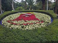 Blumenuhr im Stadtpark von Santa Cruz Teneriffa , Teneriffa
