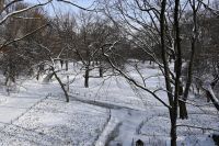 New York City - Central Park (9)