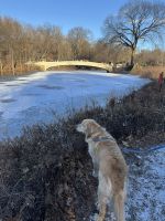 New York City - Central Park (19)