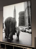 New York City - Empire State Building (16)