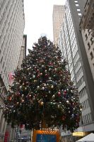 New York City - Wall Street (2)